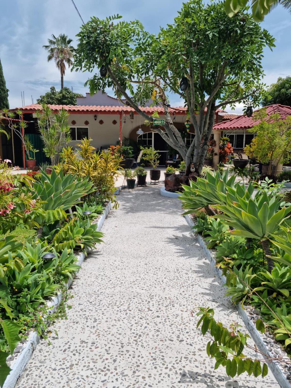 アヒヒク Casa De La Abuela Bed & Breakfast エクステリア 写真