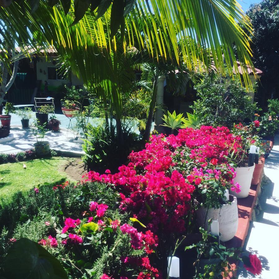 アヒヒク Casa De La Abuela Bed & Breakfast エクステリア 写真